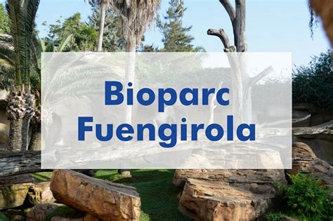 Bioparc Fuengirola: Cómo llegar, horarios, precios y ...