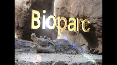 BioParc Fuengirola Zoo Malaga Spain   YouTube