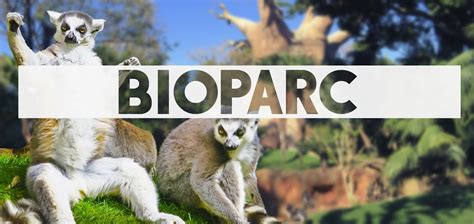 Bioparc Fuengirola Zoológico y biodiversidad en Fuengirola