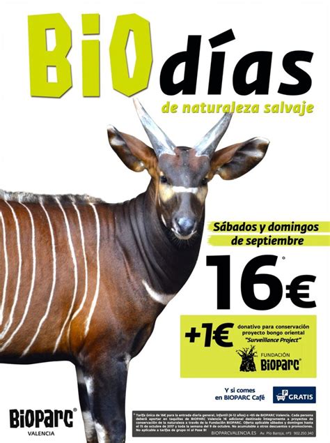 BIOPARC Valencia empieza septiembre con la promoción BIOdías