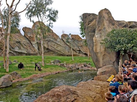 Bioparc Valencia: The Immersive Zoo | Amusing Planet