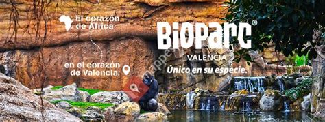 Bioparc Valencia   Valencia