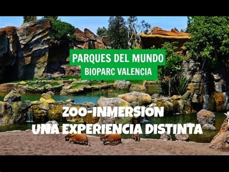 BIOPARC VALENCIA   Zoo inmersión Experience   YouTube