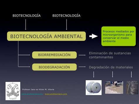 Biotecnología ambiental ppt