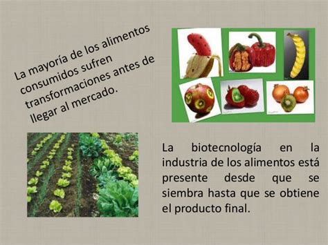 Biotecnologia de los alimentos