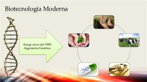 Biotecnología en el Siglo XXI