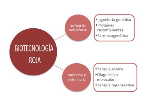Biotecnología Roja   Biotecnologízate