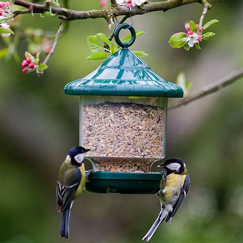 Bird and Wildlife Care   Aylett Nurseries   Visit Ayletts Garden Centre ...
