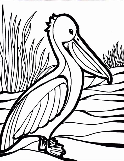 Bird Coloring Pages   Coloring Kids