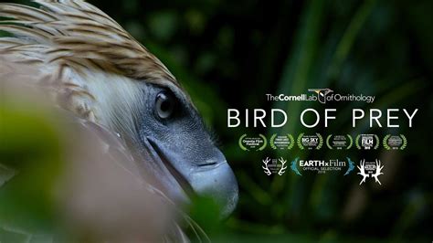 Bird of Prey Movie: Trailer 2   YouTube