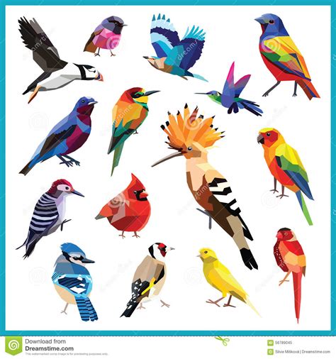 Bird Set Stock Vector   Image: 56789045