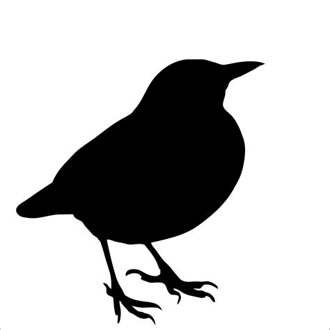 Bird Silhouette, Blackbird Free Stock Photo   Public ...