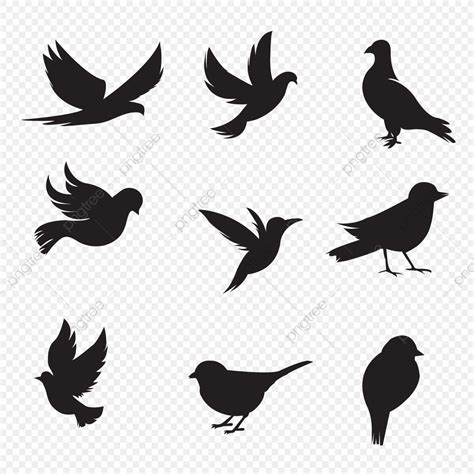 Bird Silhouette Collection, Silhouette, Bunny, Shadow PNG ...