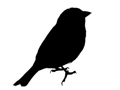 Bird Silhouette Sparrow Clipart Free Stock Photo   Public ...