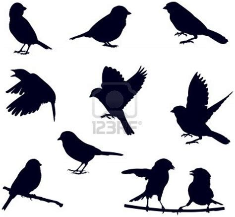 bird silhouettes | Desenho de pardal, Passaro desenho ...