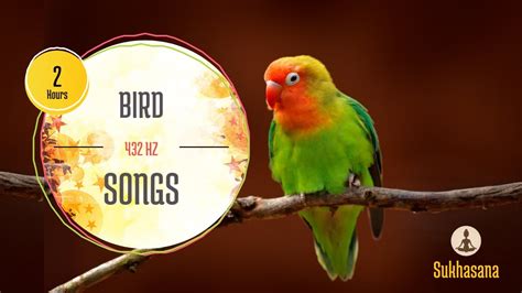 Bird songs relaxing music 432Hz 2 hours Canciones de pájaros música ...