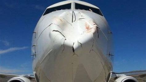 Bird Strike Does Disturbing Damage To The Nose Of A 737