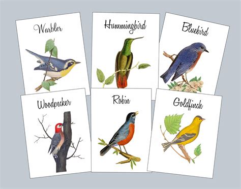 Bird Table Cards Bird Table Numbers Wedding Table Cards | Etsy