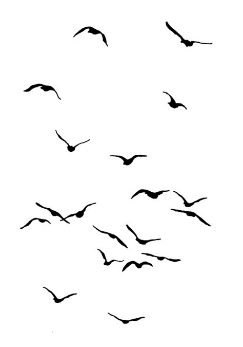 Birds 2 in 2020 | Flying bird silhouette, Flying bird ...
