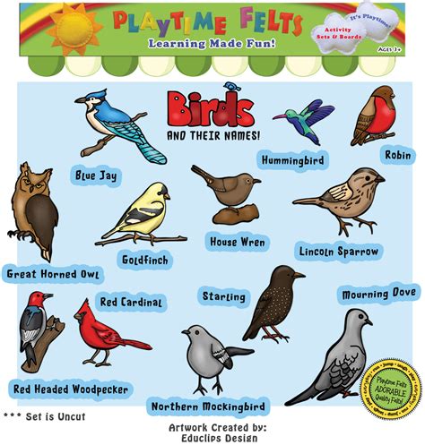 Birds and Their Names Felt Set for Flannel Board   Uncut
