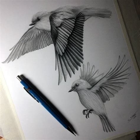 Birds Flying   Drawing Study by LethalChris on DeviantArt