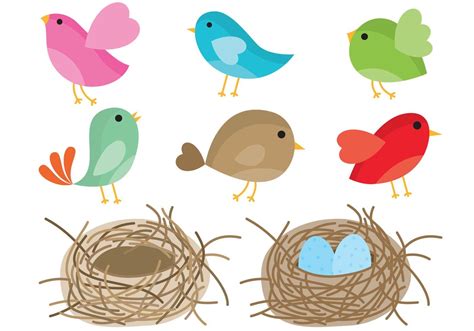 Birds In Nest Vector | Cartoon birds, Bird illustration, Watercolor bird