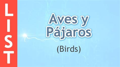 Birds in Spanish | Aves y Pájaros en Español   YouTube