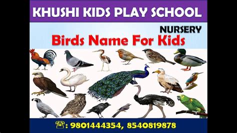 BIRDS NAME | NURSERY |   YouTube