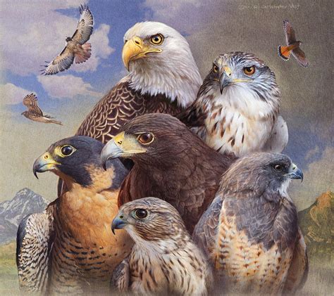 Birds Of Prey Western Colorado Painting by R christopher Vest