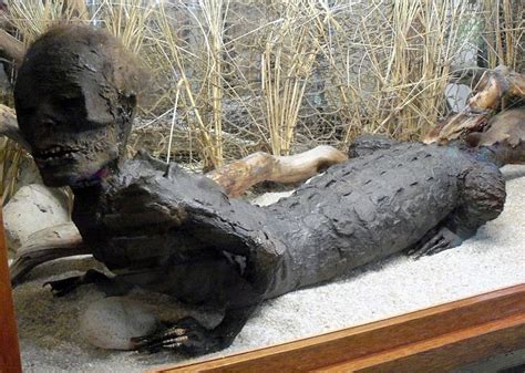 Bizarre alligator human hybrids believed to wander Florida ...