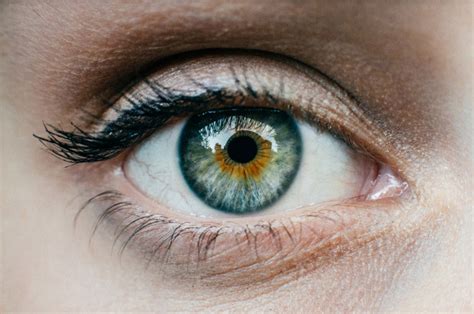 Bizarre eye treatment makes traumatic memories go away