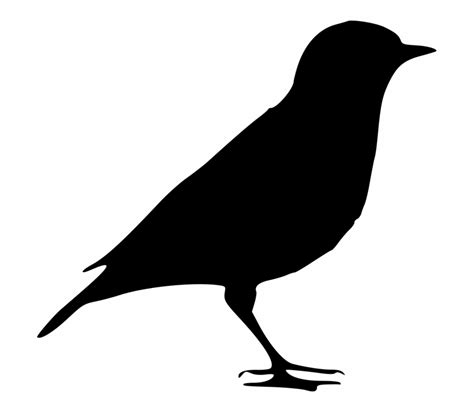 Black Bird Silhouette Png | Transparent PNG Download ...