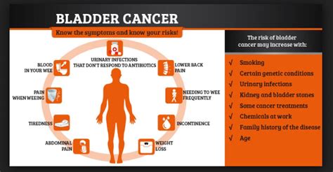 Bladder Cancer: Causes, Symptoms, And Treatments