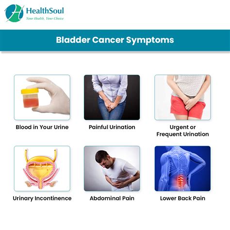 Bladder Cancer: Symptoms and Treatment | Hematology ...
