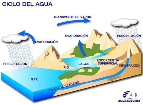 BLOG BITÁCORA DEL CEIBAS SALZILLO.: EL CICLO DEL AGUA ...