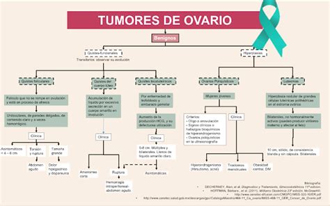 BLOG DE EVIDENCIAS DE LA MATERIA DE GINECOLOGÍA Y OBSTETRICIA.: Tumores ...