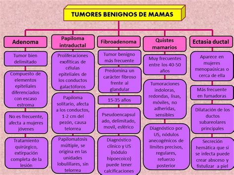 Blog de Ginecología: Tumores benignos de mama