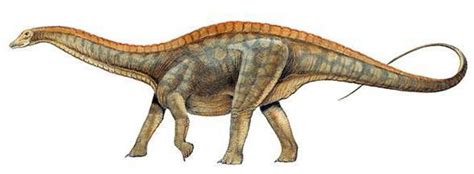 Blog de la Vida Prehistórica: Dicraeosaurus