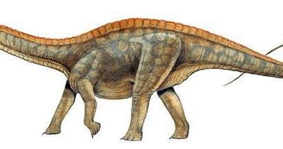Blog de la Vida Prehistórica: Dicraeosaurus