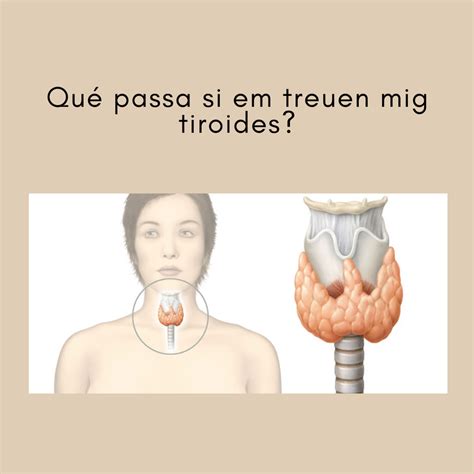 Blog de Tiroides | Endocrinología y Nutrición Hospital Quirón Dexeus ...
