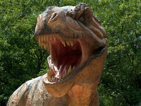 Blog Dinos: Melhores imagens sobre dinossauros!