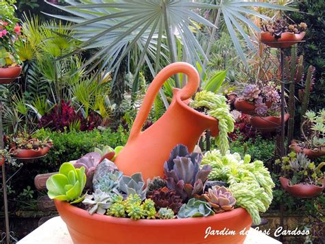 Blog sobre plantas, sementes, jardinagem, suculentas ...