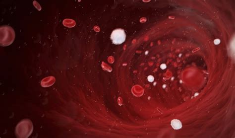 Blood Based Tumor Markers May Predict Bladder Cancer ...