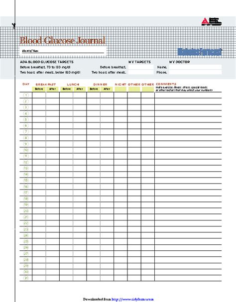 Blood Glucose Journal   PDFSimpli