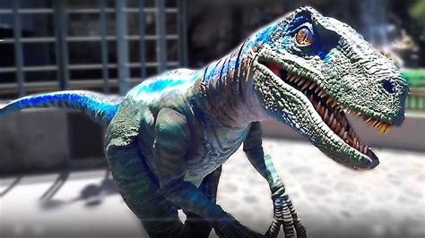 Blue the Velociraptor Dinosaur at Jurassic World. It gets OUT OF ...