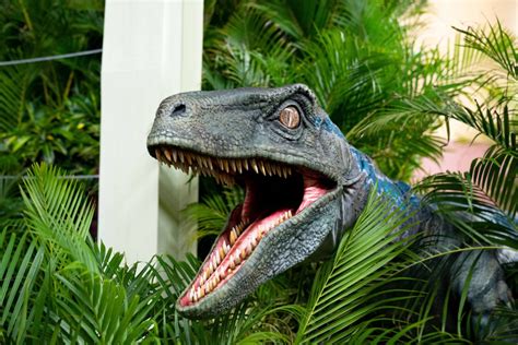 Blue, the Velociraptor from Universal Pictures and Amblin Entertainment ...