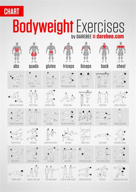 bodyweight exercises chart.pdf in 2020 | Workout chart, Bodyweight ...