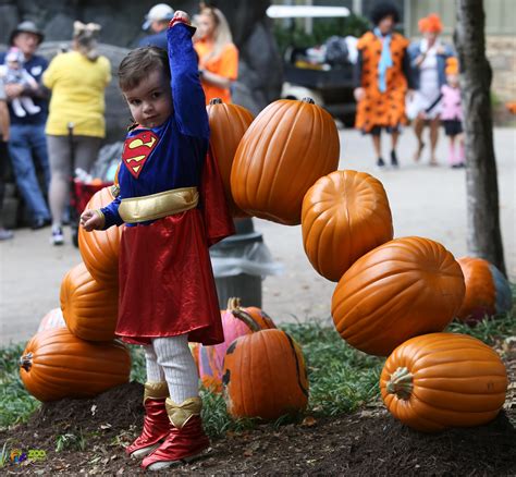 Boo! At The Zoo Begins Oct. 9, 2020   City of Knoxville