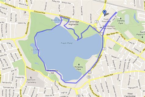 Boston s Best Jogging Routes for Every Type of Runner ...