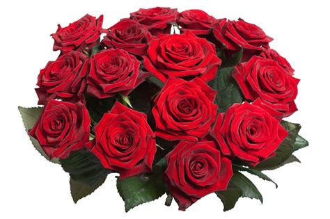 Bouquet de Rosas Rojas 15/24 a domicilio con Flores4you.